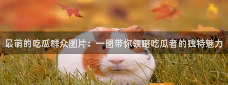 知名名人丑闻新瓜曝光