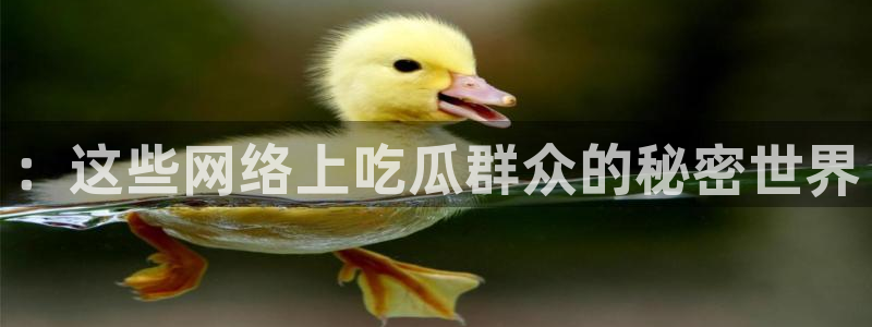 知名名人丑闻新瓜曝光